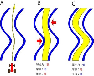 脊椎の基本16