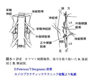 背骨21