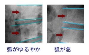 ｘｐ読み方03